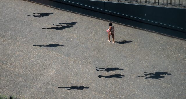 pexels-cameron-readius-4223084